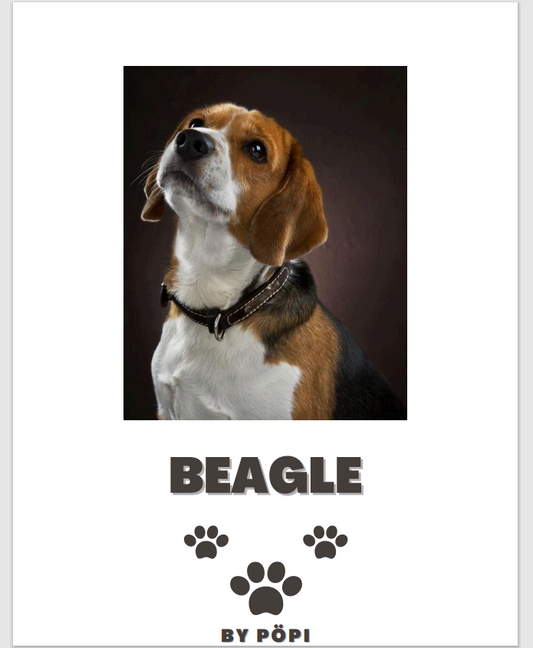 E-BOOK Beagle