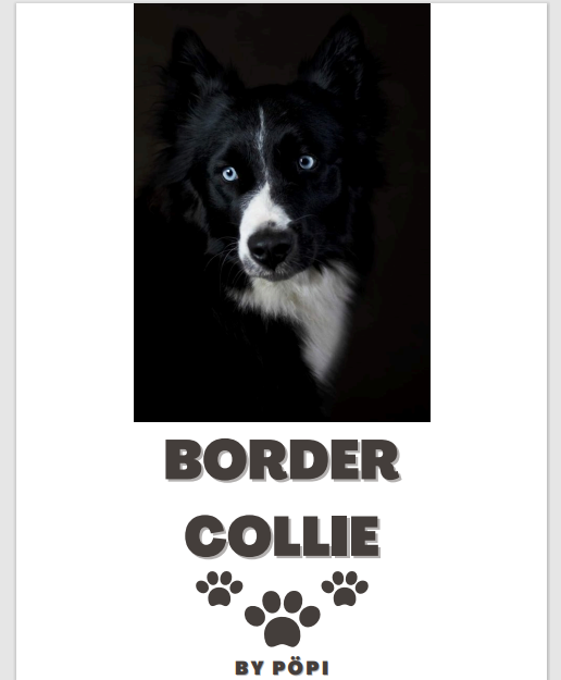 E-BOOK Border collie