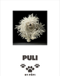 E-BOOK Puli