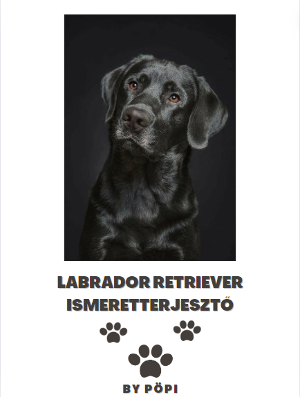 E-BOOK Labrador retriever