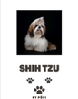 E-BOOK Shih tzu