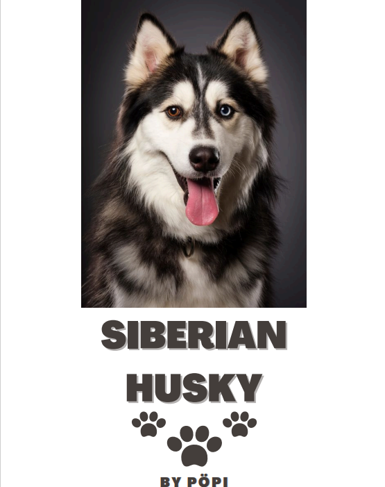 E-BOOK Husky