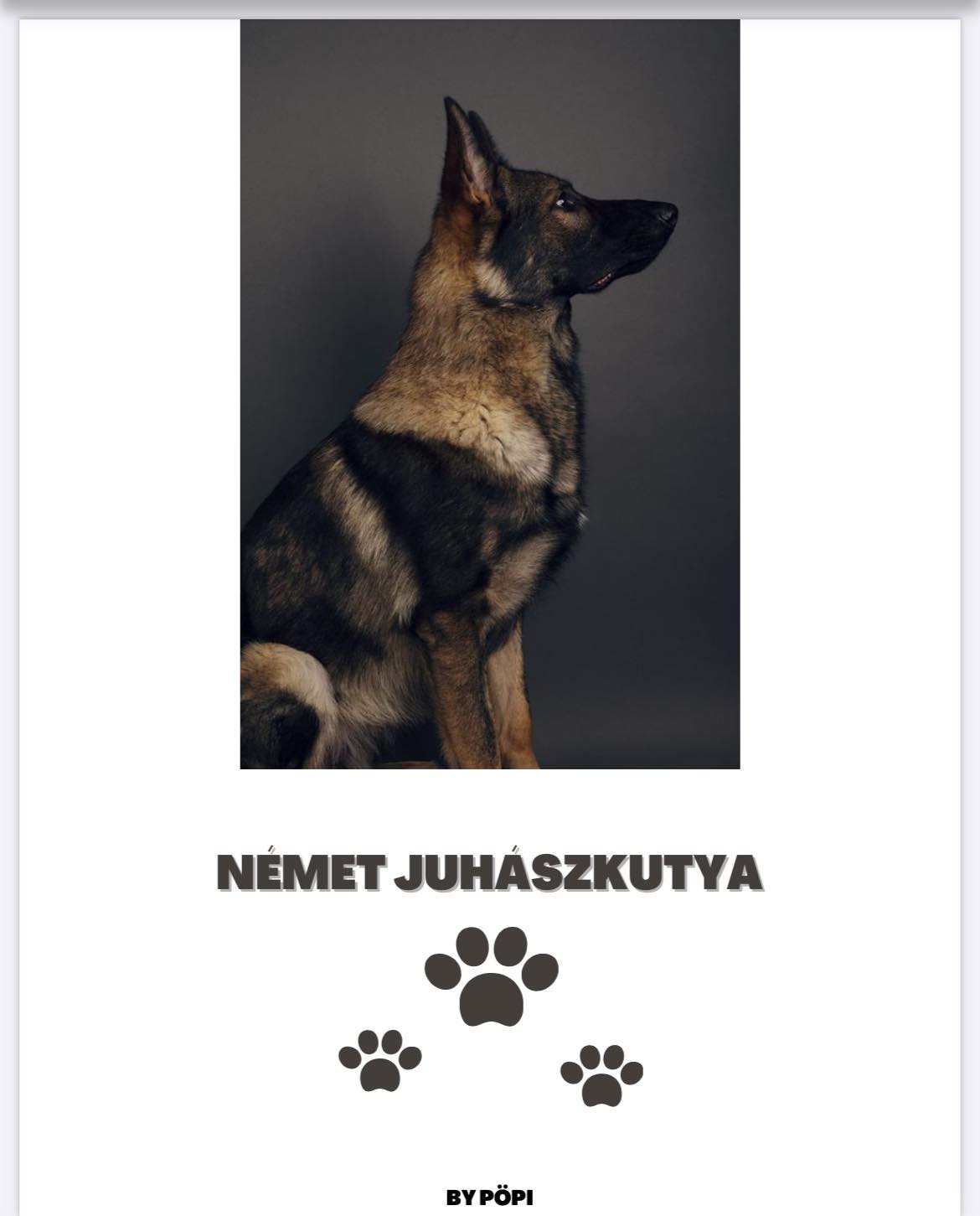 E-BOOK Német Juhász