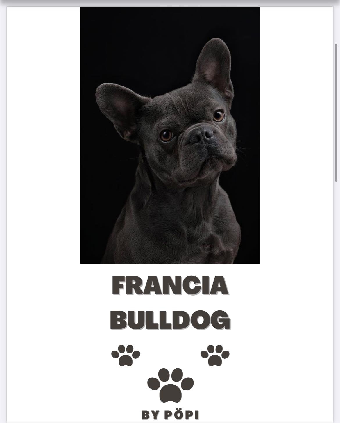 E-BOOK Francia Buldog