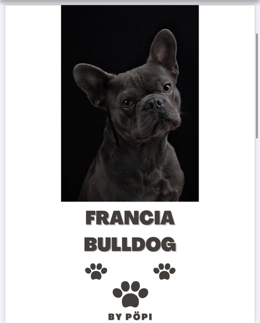 E-BOOK Francia Buldog